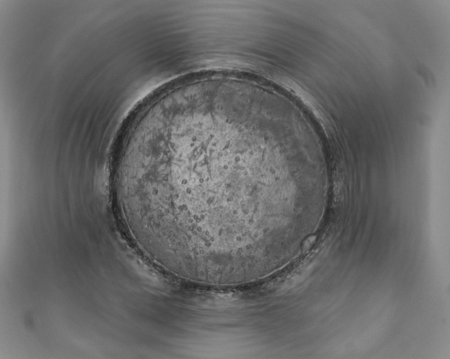 X0000111000975200906261455