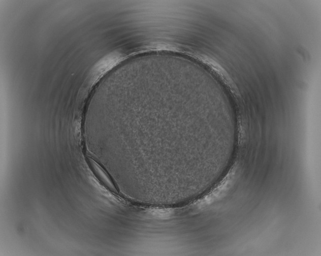 X0000111000977200906261455