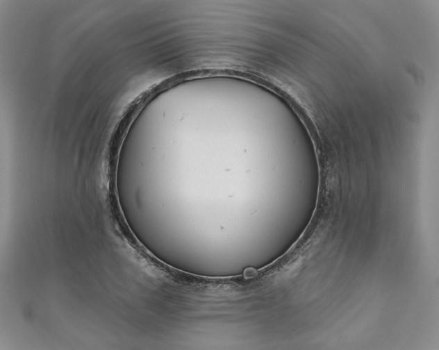 X0000111000979200906261455