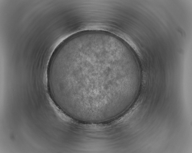 X0000111000980200906261455