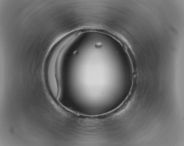 X0000111000981200906261455