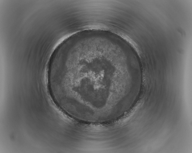 X0000111000983200906261455