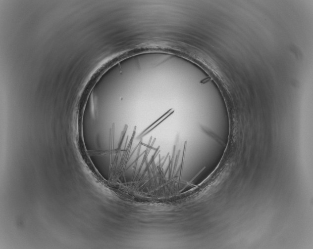 X0000111000984200906261455