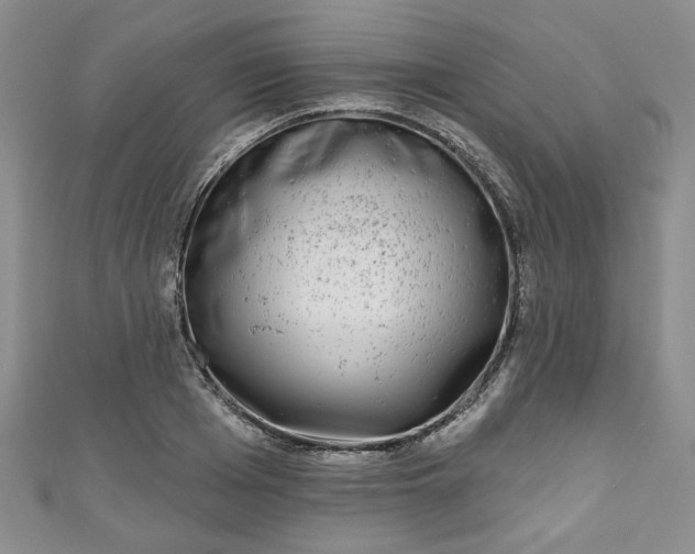 X0000111000985200906261455