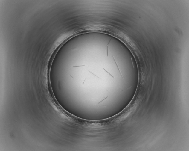 X0000111000986200906261455