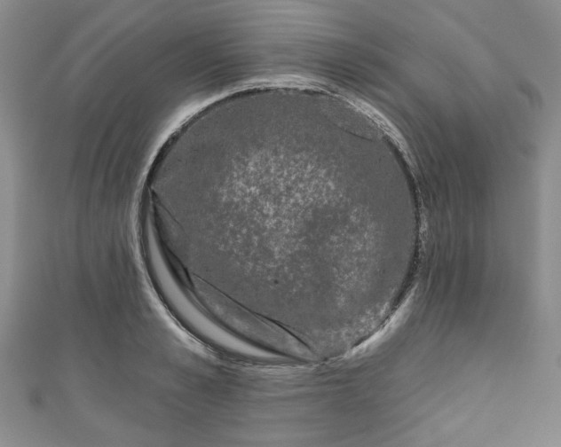 X0000111000989200906261455