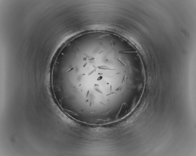 X0000111000992200906261455