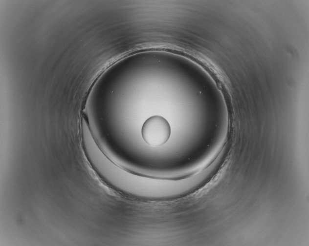 X0000111000993200906261455