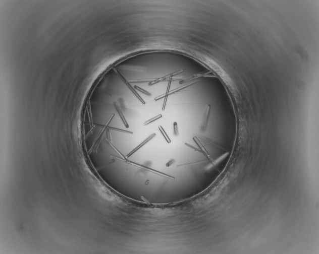 X0000111000996200906261455