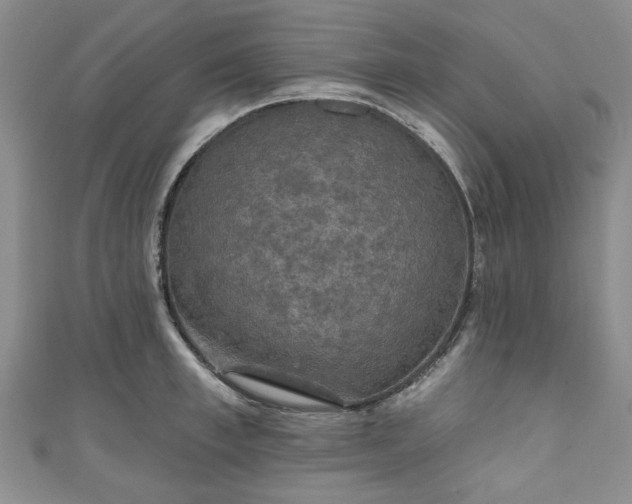 X0000111000997200906261455