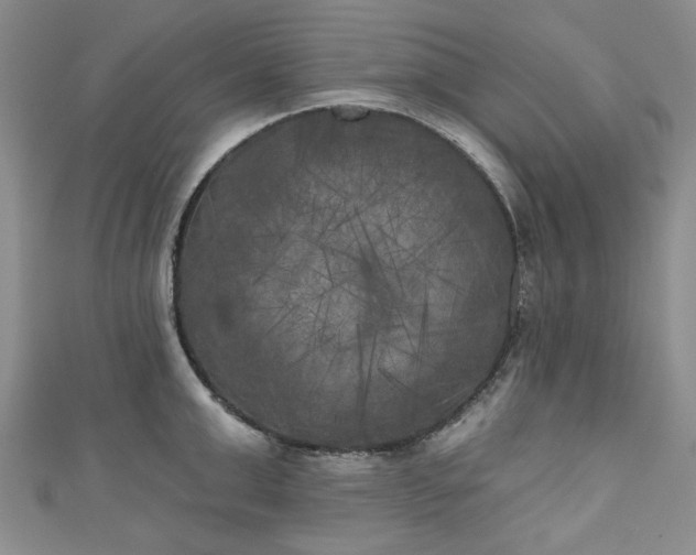 X0000111000999200906261455