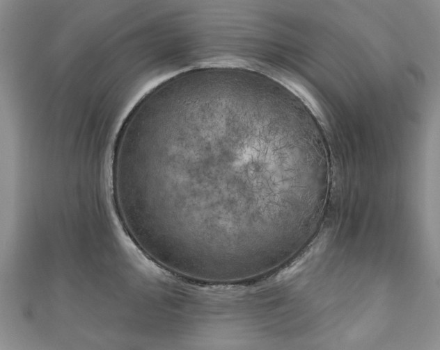 X0000111001000200906261455