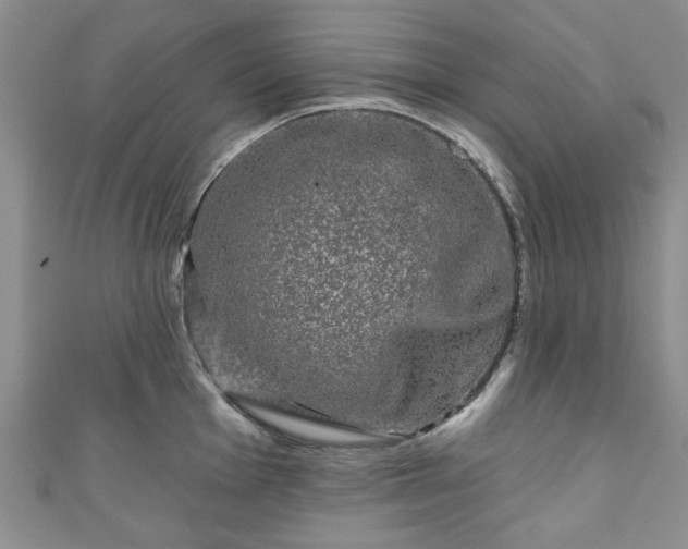 X0000111001001200906261455