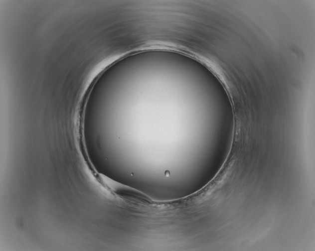 X0000111001003200906261455