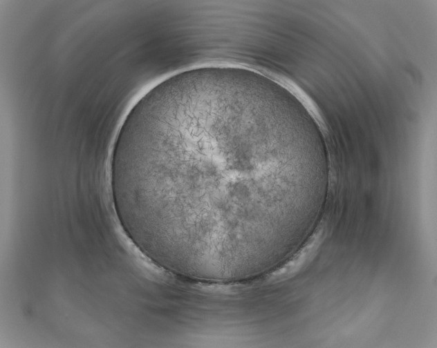 X0000111001004200906261455