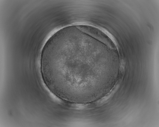 X0000111001005200906261455