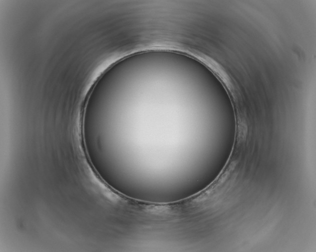 X0000111001006200906261455