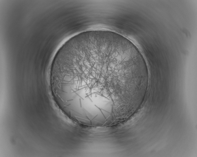 X0000111001008200906261455