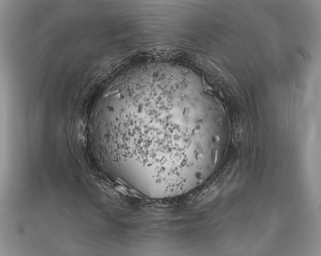 X0000111001010200906261454