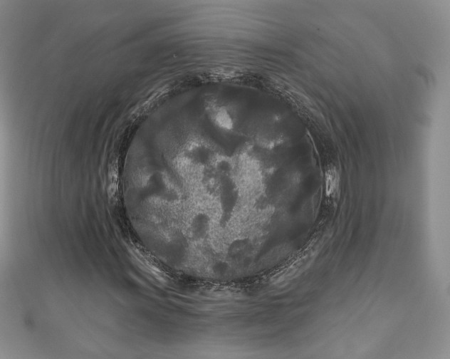 X0000111001011200906261454