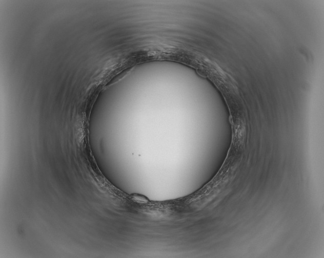 X0000111001012200906261454