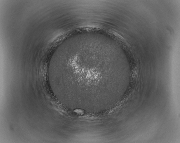 X0000111001014200906261454