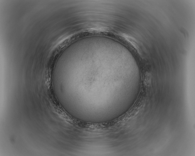 X0000111001015200906261454