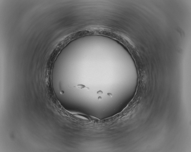 X0000111001016200906261454