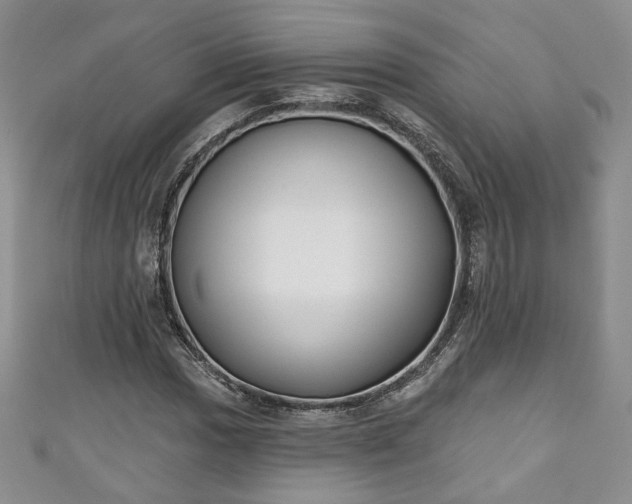 X0000111001017200906261454