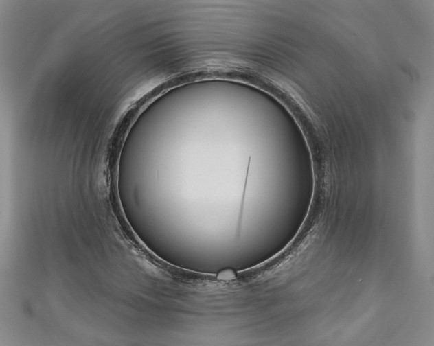 X0000111001018200906261454
