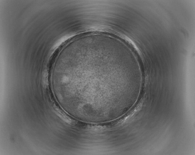 X0000111001019200906261454