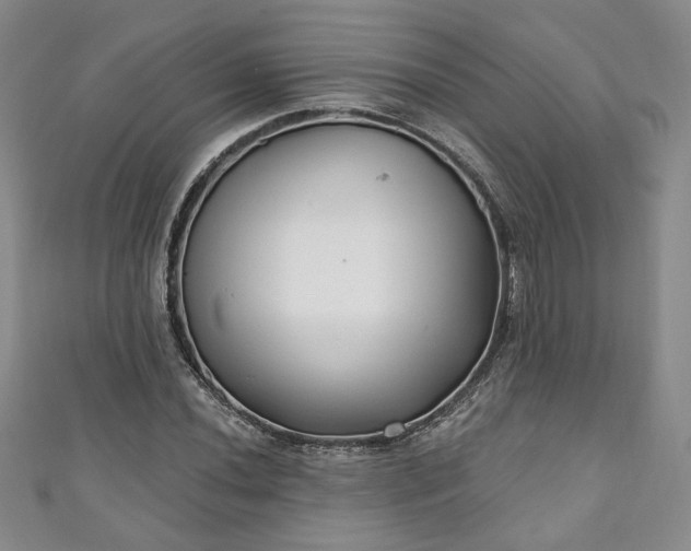 X0000111001020200906261454