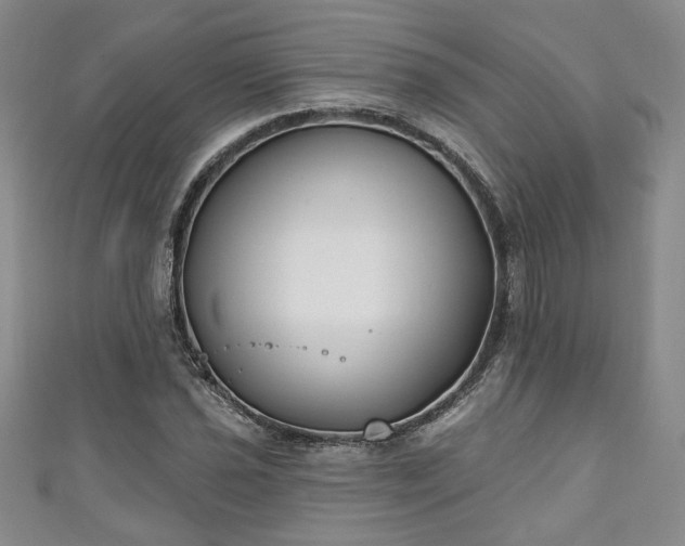 X0000111001021200906261454