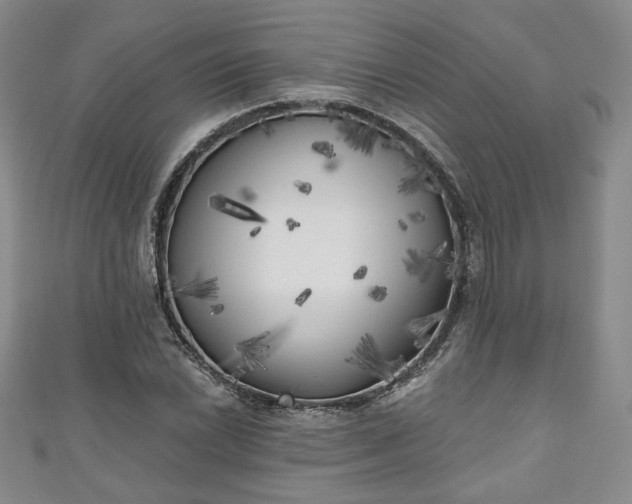 X0000111001022200906261454