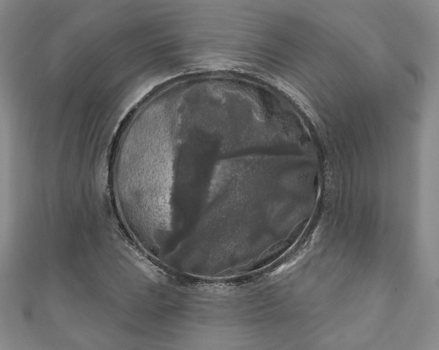 X0000111001023200906261454