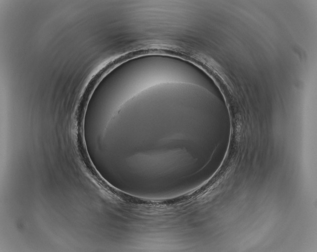 X0000111001024200906261454