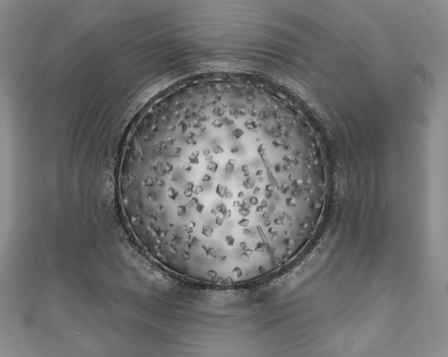 X0000111001025200906261454
