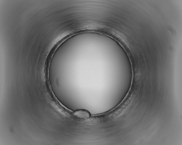 X0000111001026200906261454