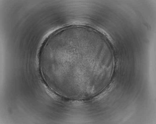 X0000111001027200906261454