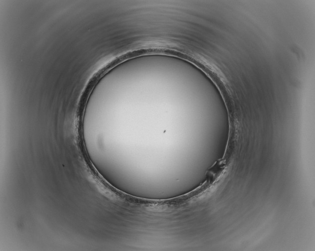 X0000111001029200906261454