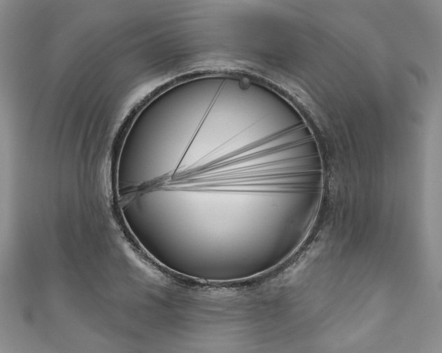 X0000111001030200906261454