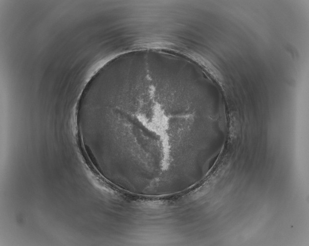 X0000111001031200906261454