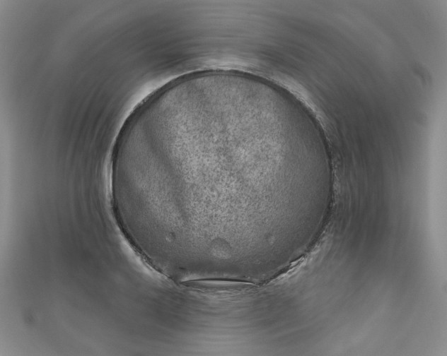 X0000111001032200906261454