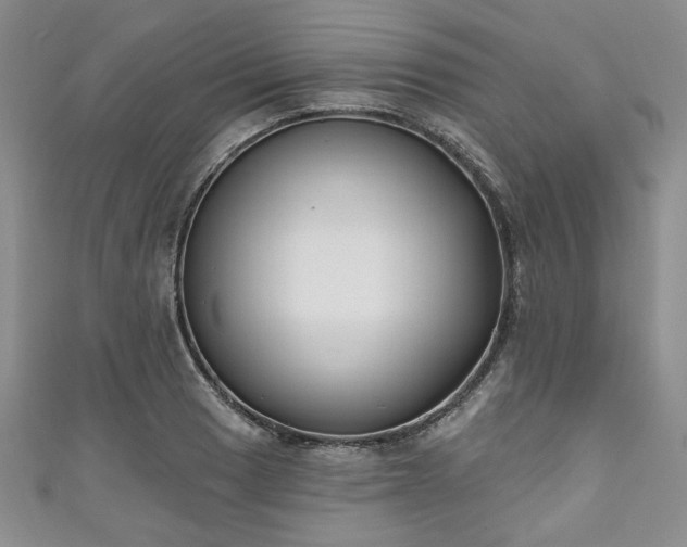 X0000111001033200906261454