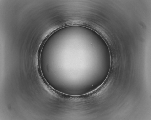 X0000111001034200906261454