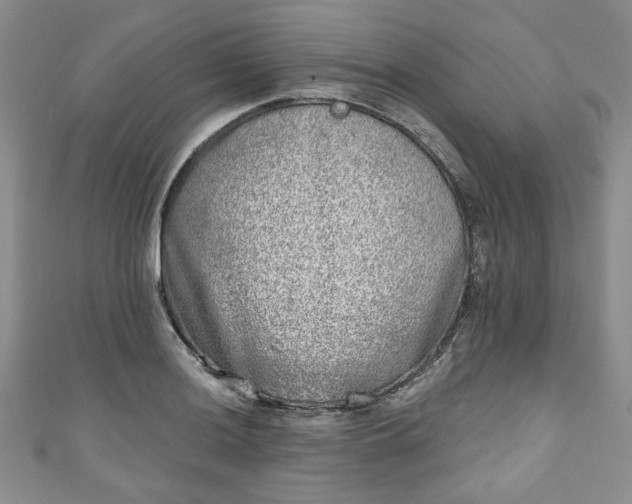 X0000111001036200906261454