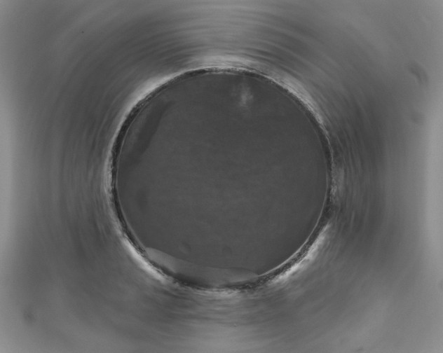 X0000111001037200906261454