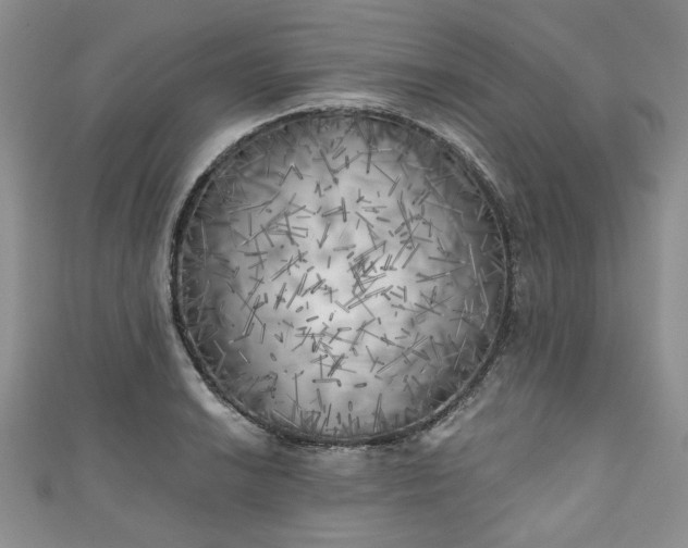 X0000111001038200906261454