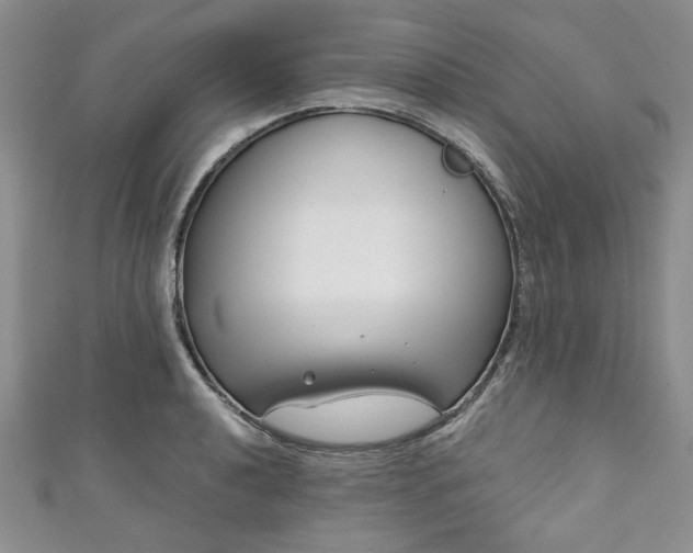 X0000111001040200906261454