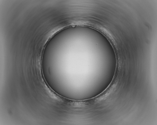 X0000111001041200906261454